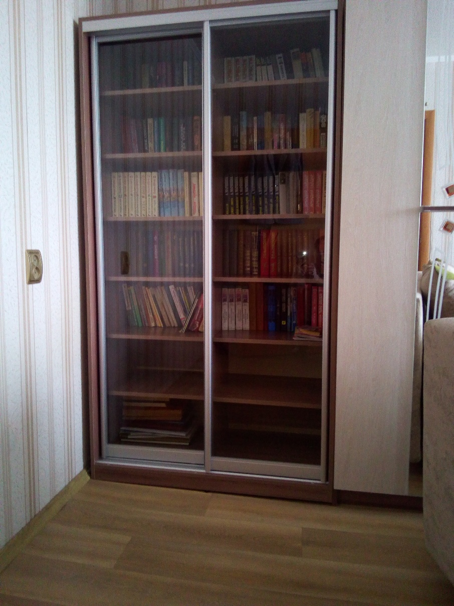 Шкаф купе для книг ( ЯШТ, Серебро )